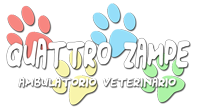 Quattro Zampe Veterinaria - curiamo con amore