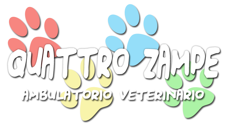 Quattro Zampe Veterinaria - curiamo con amore